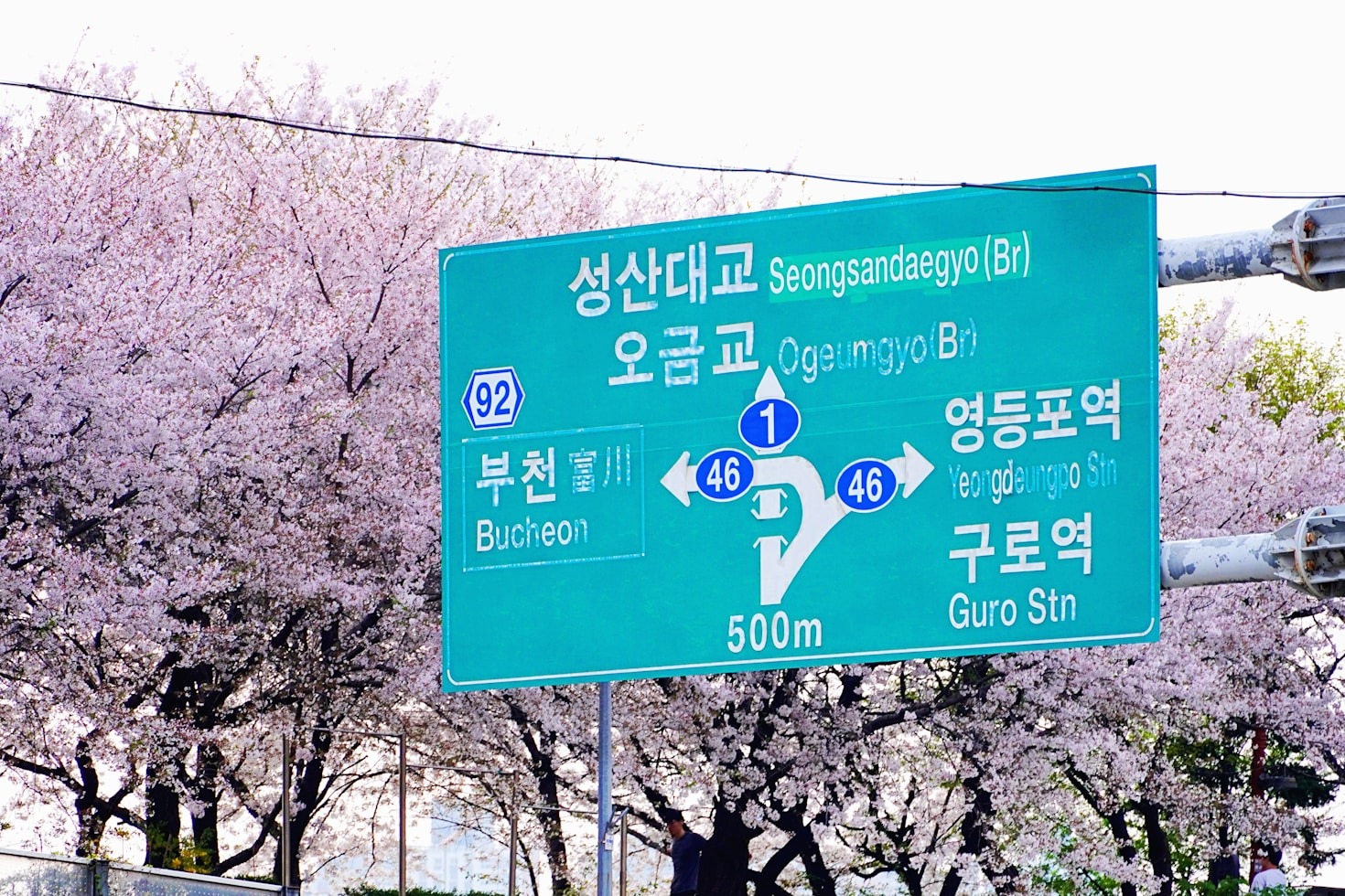 A Cross-Country Journey Through Typeface Origins