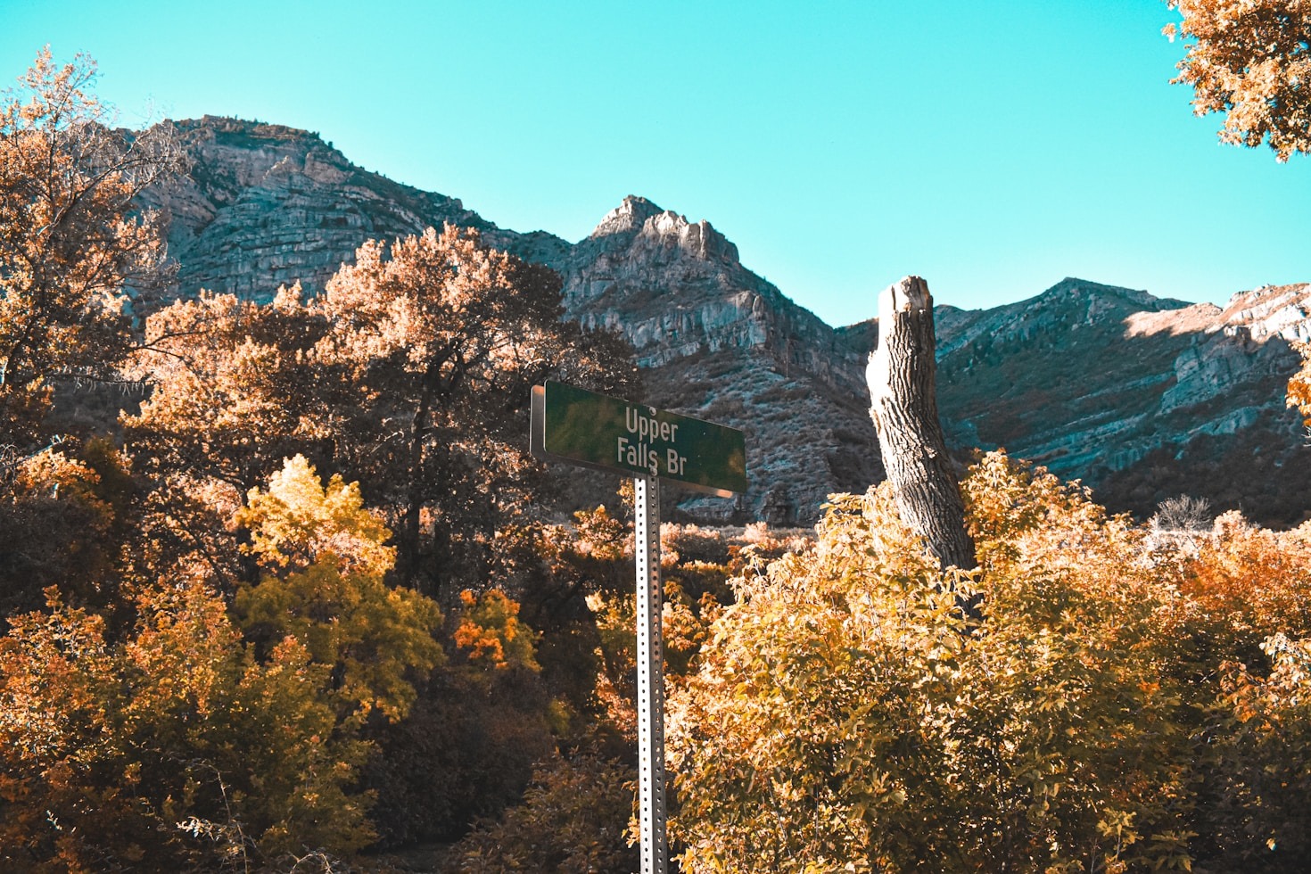 The Aesthetic and Function of Highway Markers